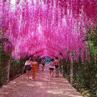 評論圖片 4