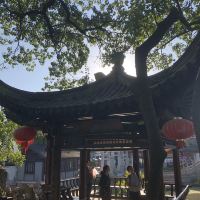 評論圖片 9