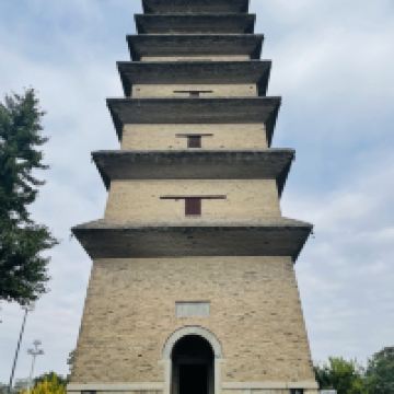 評論圖片 6