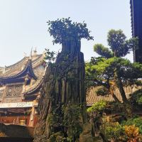 評論圖片 5