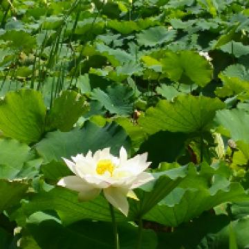 評論圖片 7