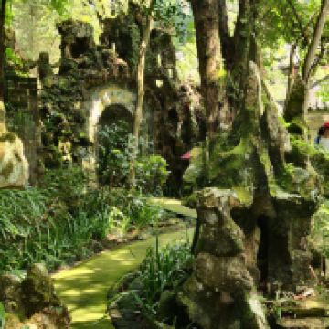 評論圖片 5
