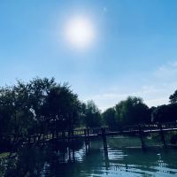 評論圖片 8