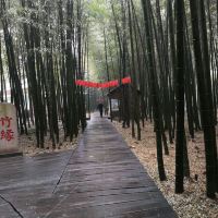 評論圖片 2