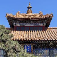 評論圖片 8