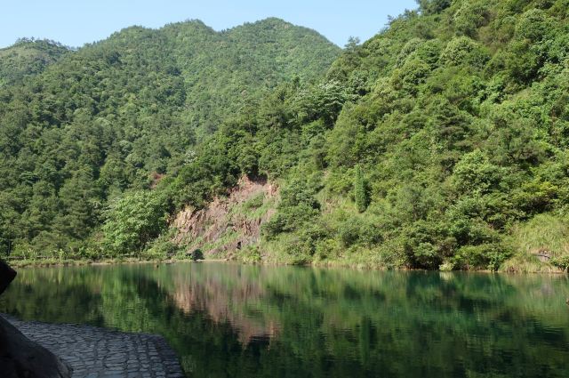大奇山國家森林公園