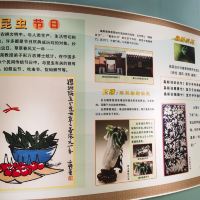 評論圖片 5