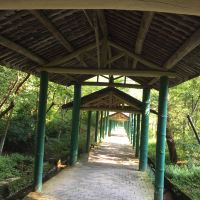 評論圖片 6