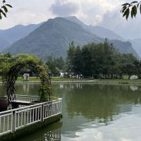 評論圖片 3