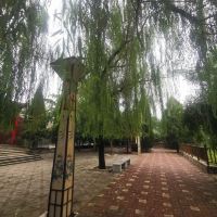 評論圖片 3