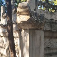 評論圖片 6