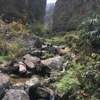 評論圖片 2