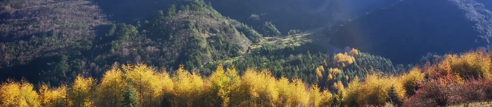Attrazioni per la visione autunnale