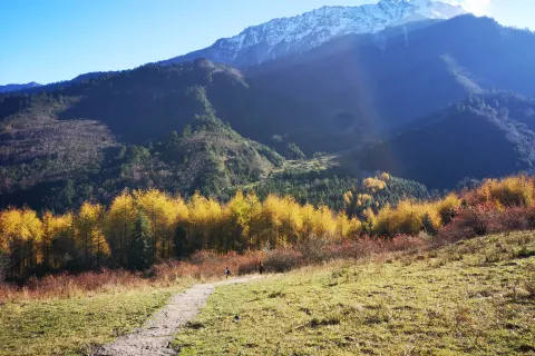 Shenmulei