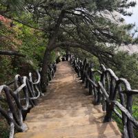 評論圖片 6