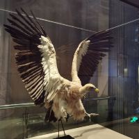 評論圖片 8