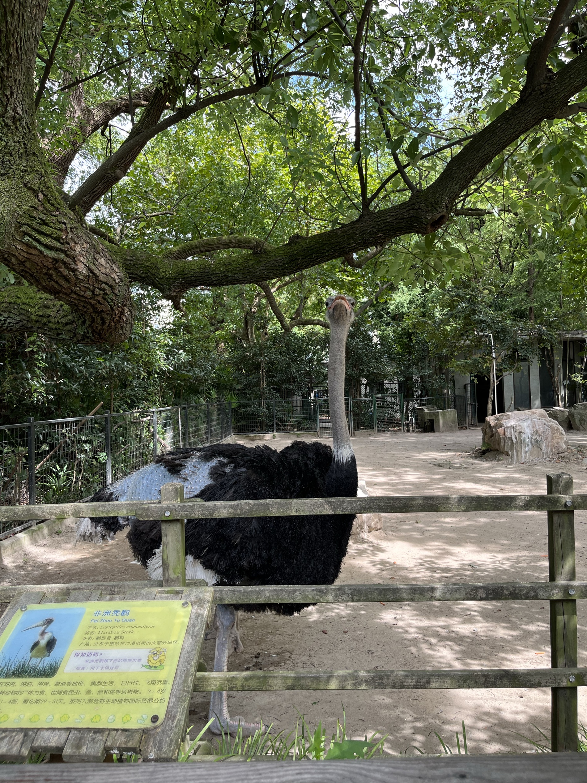 上海動物園のレビュー 上海動物園のチケット 上海動物園の割引 上海動物園の交通機関 所在地 営業時間 上海動物園周辺の観光スポット ホテル グルメ Trip Com