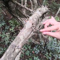 評論圖片 2