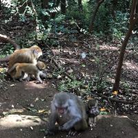 評論圖片 2