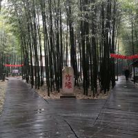 評論圖片 1