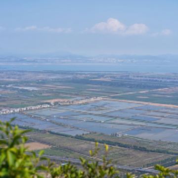 評論圖片 3