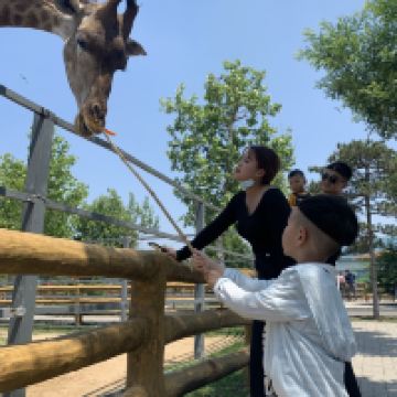 評論圖片 1