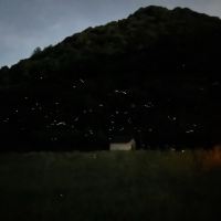 評論圖片 1