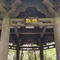 評論圖片 4