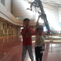 評論圖片 1