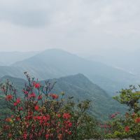 評論圖片 7