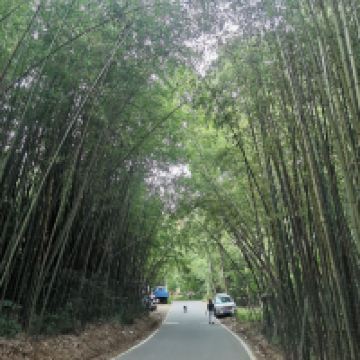 評論圖片 2