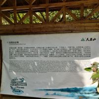 評論圖片 2