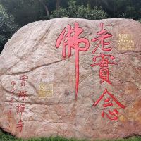 評論圖片 7