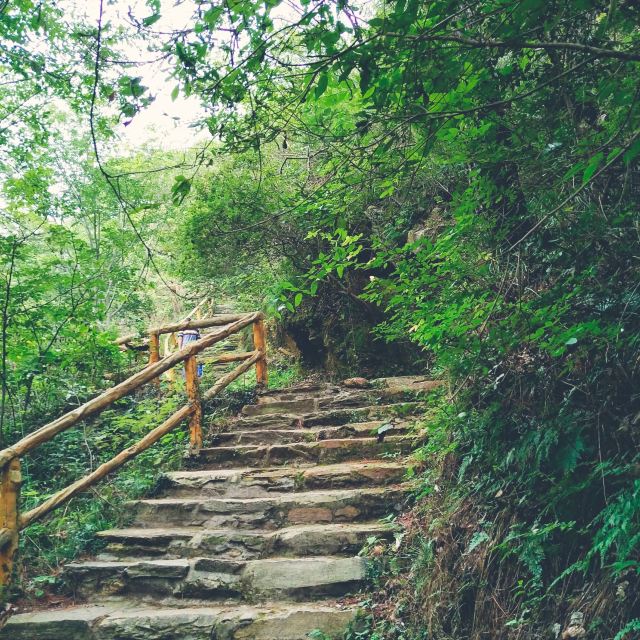 목란 운문산