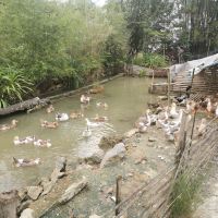 評論圖片 4