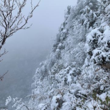 評論圖片 1