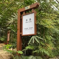 評論圖片 2