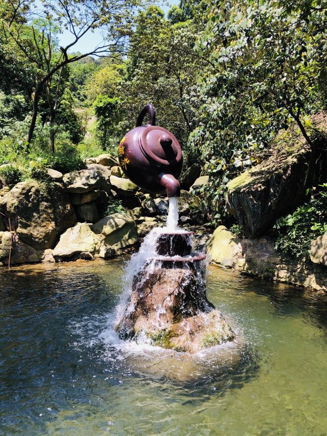 Qingyuan Bijiashan Canyon Drifting