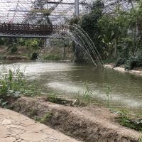 評論圖片 1