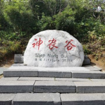 評論圖片 4
