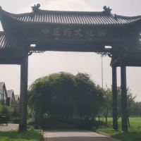 評論圖片 7