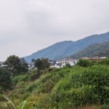 評論圖片 3