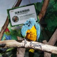 評論圖片 8