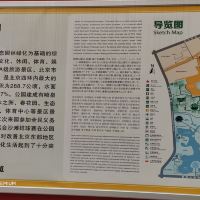 評論圖片 1