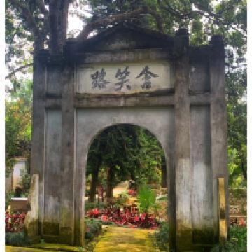 評論圖片 1