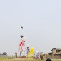 評論圖片 8