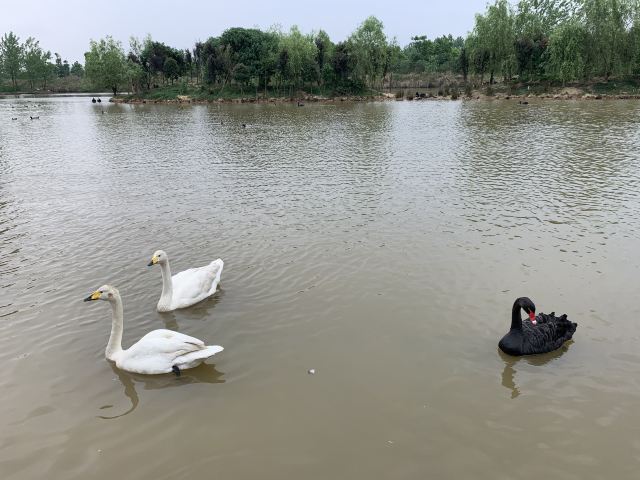 Yangsha Lake International Tourism Resort