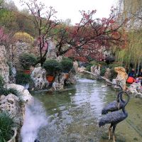 評論圖片 5