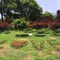 評論圖片 1