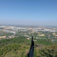 評論圖片 5